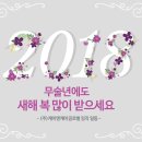 케이앤케이글로벌 이미지