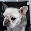 목포옥암중학교 이미지