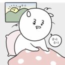 주오산업 | 2023 겨울 도쿄여행 #2 [11.24~11.27]