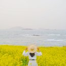 수성당 프레시안