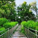 장미공원B 이미지