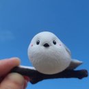 이든혜윰 이미지