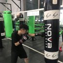 가산호신술
