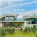 우리들 언양점 | 울산 언양 카페 수피아 울주군 대형 애견동반 분위기 좋은 자연 속 힐링 내돈내산 후기