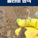 글로리팜 이미지