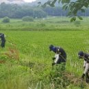 강진허브 이미지