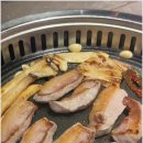거북이동네 - 동래구 사직동 | 거북이동네