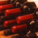 [단일과정] 와인소믈리에 이미지