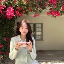 ♡Lebane 르베인 리나 블라우스 Lina Blouse 후기(+착용샷, 벚꽃룩 추천)