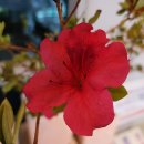 부평우체국 이미지