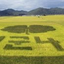 옥과 무창 이미지