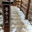 동읍510 | 창원 등산하기 쉬운 산, 창원 비음산 겨울 등반후기