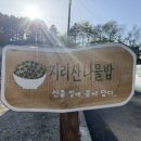 지리산 깊은골 | [경남 함양 맛집] 지리산의 건강한 맛 한 상 🌿 ‘지리산나물밥’ 솔직 방문 후기
