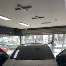피피엠틴팅 이미지