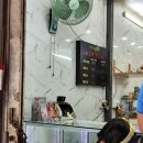 베트남 다낭 주변 성지순례 4박5일 자유여행 후기(4) 4,5일차 다낭 시내 + 총평 #1인당100만원 #일정표...