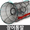 장어와미꾸라지 이미지