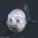 레이센(주) 이미지