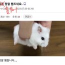 더노블투어 네이버블로그