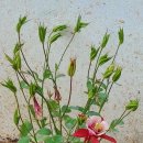 군장목장 이미지