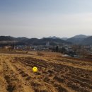 양지바른공인중개사사무소 네이버블로그