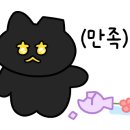 스텔라동물의료센터 이미지