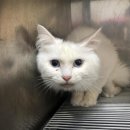 홈종합동물병원 이미지