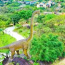 힐 스프링 이미지