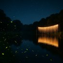 모아정보 | 2025 무주반딧불축제 기본정보·예약·낙화놀이 후기 모아보기