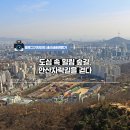 도심속 숲길 이미지