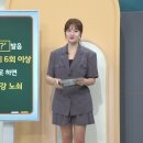 [무엇이든 팩트체크]1) '타' 발음 1초에 6회 이상 못 하면 구강 노쇠,2) 미세 플라스틱의 위협! 차량 내부가 가장 위험하다,.. 이미지