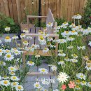 청춘역1979 이미지