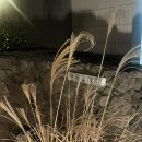 녹음실제주 | 녹음실 제주 후기 [서귀포 숙소 추천 / 제주 2인 숙소_커플 여행]