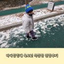 바다 탐험대 옥토넛 어보브 앤 비욘드 버드, 옥토경보를 울려라 관람후기