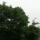 합천건강원