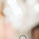 테라리움서울 본식스냅 촬영 후기｜ 코지도노