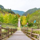 별천지공원-2 이미지