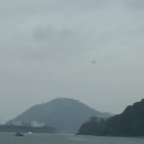 용원이네