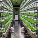 농업회사법인(주)힐링시스템 이미지