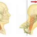 안녕필라테스 이미지