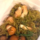 율리2농장 이미지