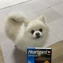 유성온누리약국 이미지