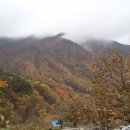 별빛산방 이미지