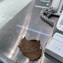 와글와글고기파티 이미지