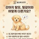 왜관동물병원 이미지