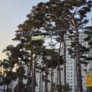 글빛누리공원 | (251116) 집근처 공원에서 가을정취 즐기기