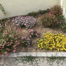 GS25(통영연명항점) 이미지