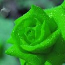 바램이머무는곳 이미지