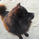 송전한의원 | 금북정맥 제1구간, 칠장산~칠현산~(덕성산)~(무이산)~배티고개