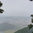 마비정길 이미지