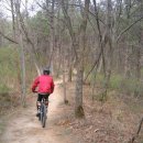 엄사약국 이미지